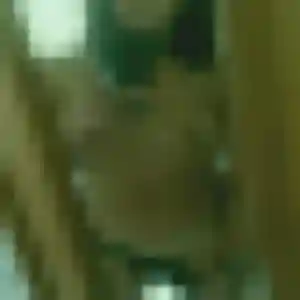 Photo sexy de Tanoh, 31 ans à La Salvetat-Peyralès - rencontre coquine
