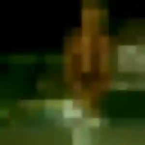 Rencontre Prisca, 37 ans à La Seyne-sur-Mer gratuitement