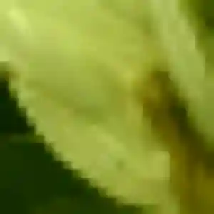 Anaïs, femme de 35 ans veut rencontre adulte à La Souterraine