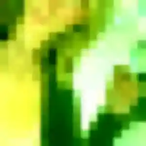 Saffie, 22 ans, cherche un rencontre adulte à Labergement-Sainte-Marie