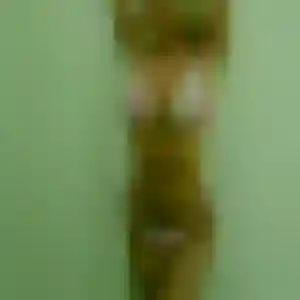 Stacy (25 ans) à Lagor attend un rencontre adulte ce soir