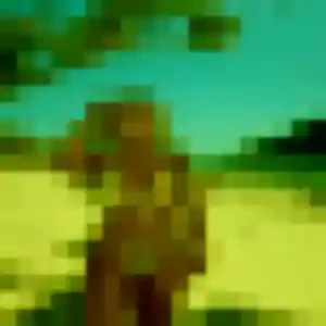 Photo de Afia à Laillé (23 ans) - rencontre adulte sans inscription