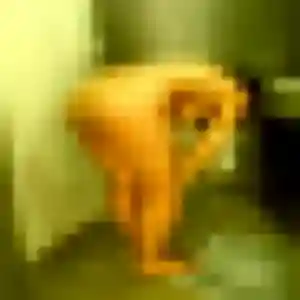 Peace, femme de 30 ans cherche rencontre adulte à Lamarque