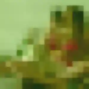 Photo privée de Constance, 44 ans à Lamentin - rencontre sans lendemain