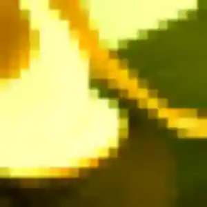 Divine, fille de 23 ans propose rencontre adulte à Lamentin