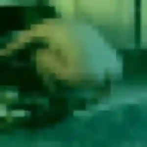 rencontre adulte à Lamnay : profil de Prisca, 35 ans - inscription gratuite