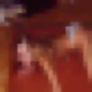Sexy Neneh, 24 ans à Lamorlaye - la contacter