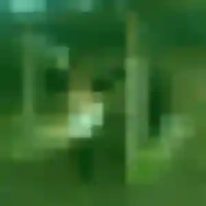 Rencontre Adélaïde, 39 ans à Lamothe gratuitement