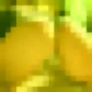 Photo exclusive de Priscilla, 38 ans à Landéda - plan discret