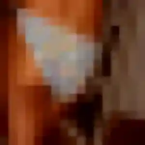 Evelyne, 29 ans, disponible à Landeronde pour une rencontre coquine