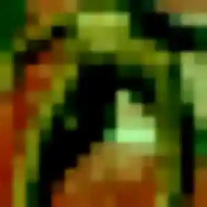 Jamila, 34 ans, cherche un rencontre adulte à Landeronde