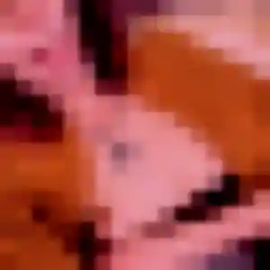 Linda, 30 ans, dispo pour rencontre adulte à Landudec