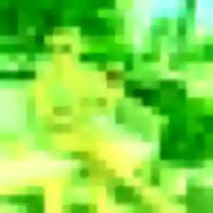 Grâce, 29 ans, dispo pour rencontre adulte à Langatte