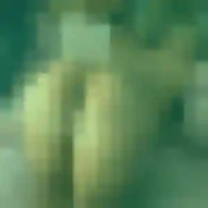 Bola, 41 ans, cherche un rencontre adulte à Langoat