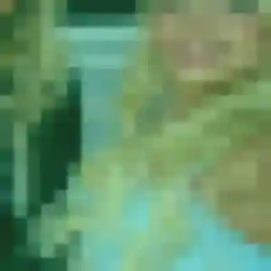 Photo de Zoé à Langoiran (33 ans) - rencontre adulte sans inscription