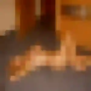 rencontre adulte à Langonnet : photo de Ramata, 25 ans - sans engagement