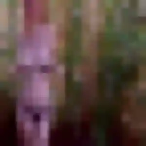 rencontre adulte à Langres : photo de Amara, 24 ans - accès libre