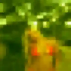 rencontre adulte à Lanne : photo de Awa, 36 ans - sans engagement