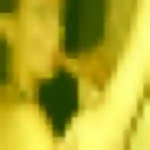 Sexy Lilou, 26 ans à Lanne - voir sa photo
