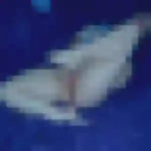 Profil de Sokhna à Lanrodec (42 ans) - rencontre adulte gratuit