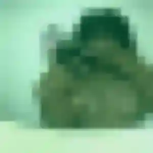 Neema (29 ans) à Laplume attend une rencontre aujourd'hui