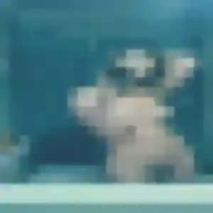 Photo perso de Noémie, 33 ans à Laps - rencontre sans lendemain