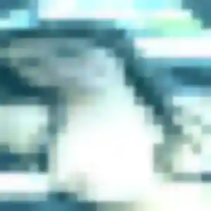 Jolie Codou, 30 ans à Larchamp - la contacter