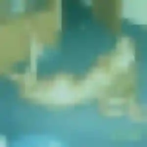 Soukeyna de Lasseube, 19 ans - rencontre adulte sans prise de tête