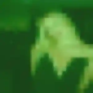 Rencontre Nafi, 22 ans à Latillé en t'inscrivant