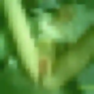 Delphine, 23 ans, dispo pour rencontre adulte à Le Bardon