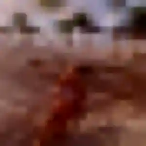 Kafui de Le Bernard, 40 ans - rencontre adulte en toute liberté