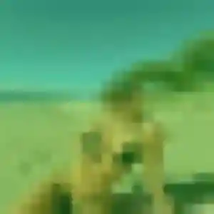 Profil de Victoire à Le Bouscat (31 ans) - rencontre adulte discret