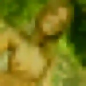 Hope, 32 ans, connectée à Le Breuil pour un rencontre adulte