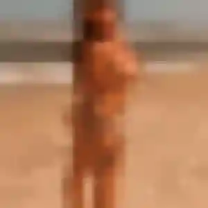 Esther (31 ans) à Le Bugue cherche une rencontre rapidement