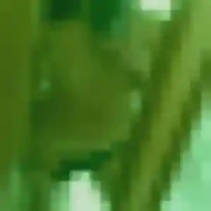 Profil de Delphine à Le Champ-Saint-Père (35 ans) - rencontre adulte anonyme