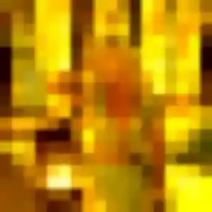 rencontre adulte à Le Chay : photo de Nafi, 44 ans - sans engagement