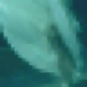 rencontre adulte à Le Coudray : photo de Daba, 38 ans - sans engagement