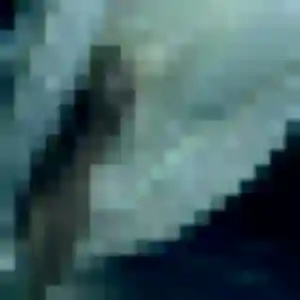 Titi, 44 ans, dispo pour rencontre adulte à Le Faouët