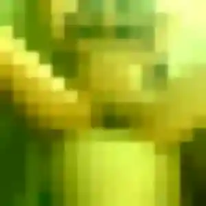 Dado, 24 ans, veut un rencontre adulte à Le Genest-Saint-Isle