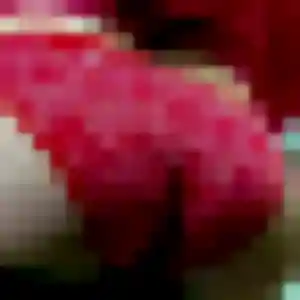 Contacte Régine, 23 ans à Le Lorrain en privé