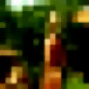 Roxane, 38 ans, connectée à Le Parc pour une rencontre coquine