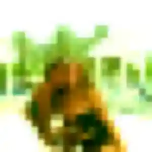 Stacy, fille de 34 ans veut rencontre adulte à Le Pêchereau