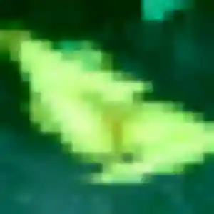 Rencontre Esi, 37 ans à Le Raincy en t'inscrivant