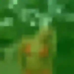 Bernadette (44 ans) à Le Tablier cherche une rencontre rapidement