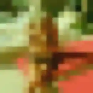 Photo perso de Deborah, 35 ans à Le Teil - rencontre sans lendemain