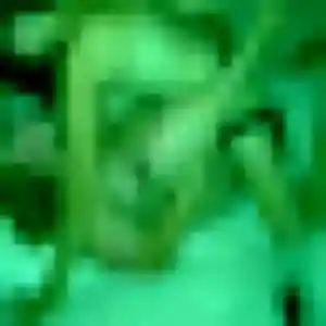 Georgette (31 ans) à Le Vernet-Chaméane attend une rencontre aujourd'hui