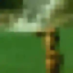 Miriam, 34 ans, cherche un rencontre adulte à Lédat