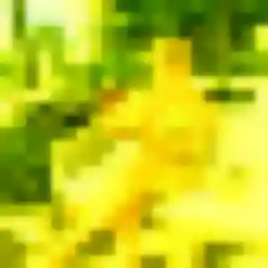 Yemisi, 19 ans, en ligne à Lederzeele pour un rencontre adulte