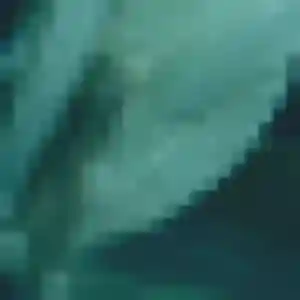 Anaïs (32 ans) à Leers cherche un rencontre adulte maintenant