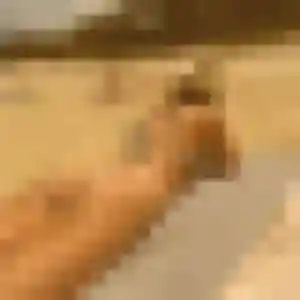 Charline (27 ans) à Leforest propose un rencontre adulte aujourd'hui